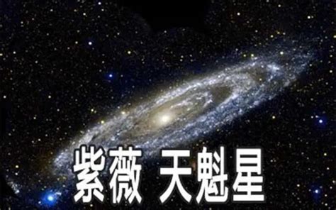 命宮天魁|紫微甲級星曜之天魁星